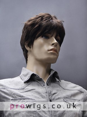 Chic Short Straight Synthetic Capless Wig For Man