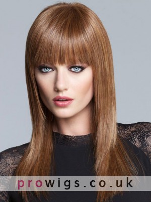 Synthetic Sleek Straight Lace Long Wig
