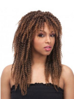 Curly Heat Friendly Synthetic Wig