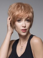 Short Synthetic Straight Fashion Wig