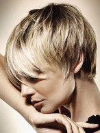 Cool And Hot Human Hair  Wig