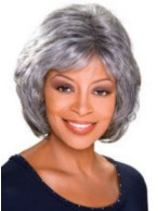 Louise Grey Wig