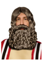 Biblical Beard and Wig Grey 