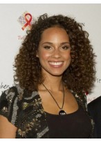 Chic Medium Curly Brown African American Lace Wigs for Women 