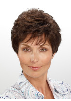 Short 2015 New Style Capless Wig