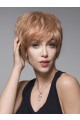 Short Synthetic Straight Fashion Wig