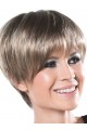 Synthetic Silky Straight Short Capless Wig