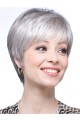 Straight Synthetic Short Lace Front Grey Wig