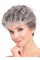 Soft Wavy Front Lace Synthetic Grey Wig