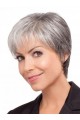 Classical Short Straight Lace Front Grey Wig